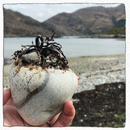 image of heart-shaped stone with attached seaweed resembling a tree, held up by a woman's hand, against the background of swathes of beach, loch and distant mountains
