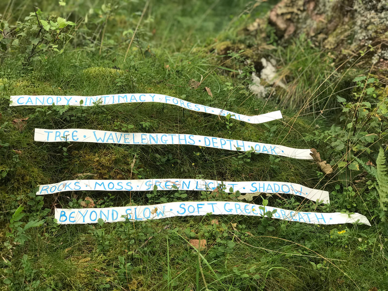 Photograph showing hand lettered paper strips by Louise Mor, the words say, "Canopy, Intimacy, Forest, Soil; Tree, Wavelengths, Depth, Oak; Rocks, Moss, Green Light, Shadow; Beyond Slow, Soft Green, Breath", dated 2022
Placed on the forest floor covered in herbs and grasses and photographed by Geoff Sawers, 2022.
