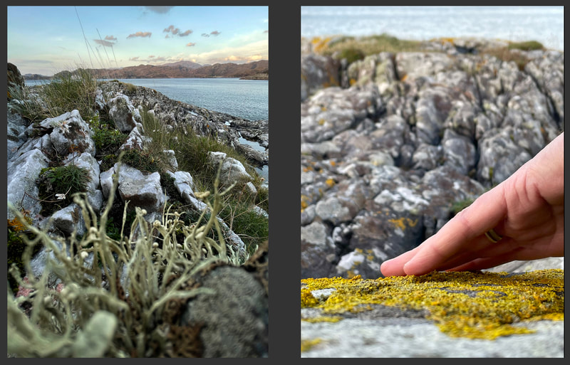Photographs showing close up, tactile views of lichens on coastal rock formations, photographed by Iona Durbin and dated 2022.