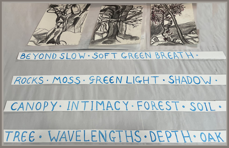 Image of hand lettering and drawings of trees by Louise Mor, made with ink and charcoal on paper in 2022.
