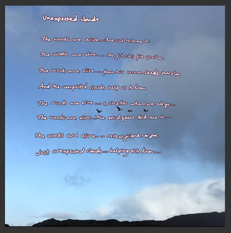 Image showing the words of a poem by Suzanne Guthrie,  entitled "Unexpected Clouds", against a cloudy and blue sky with geese flying across from left to right. Dated 2022.
